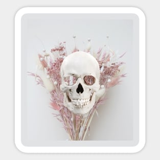 Soft aesthetic skull Sticker